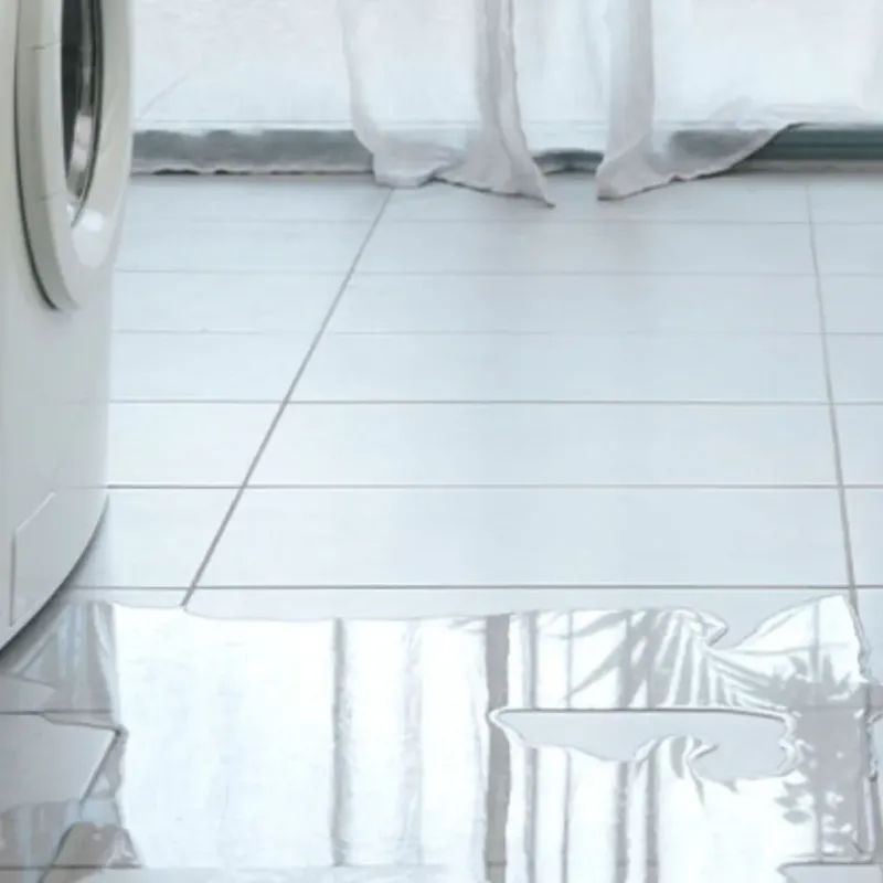 Appliance Leak Cleanup in Ketchum, ID