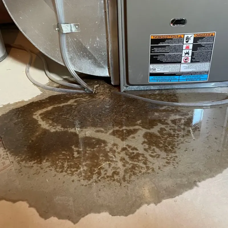 Pipe Burst and Leak Restoration in Ketchum, ID